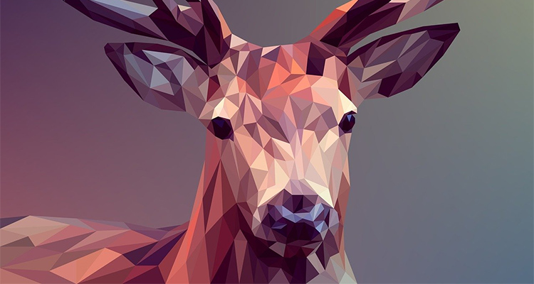 Grafik Tasarım Kursu